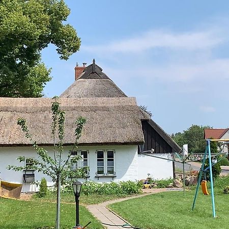 Ferienhaus Alte Schule Rambin Auf Ruegen Dış mekan fotoğraf
